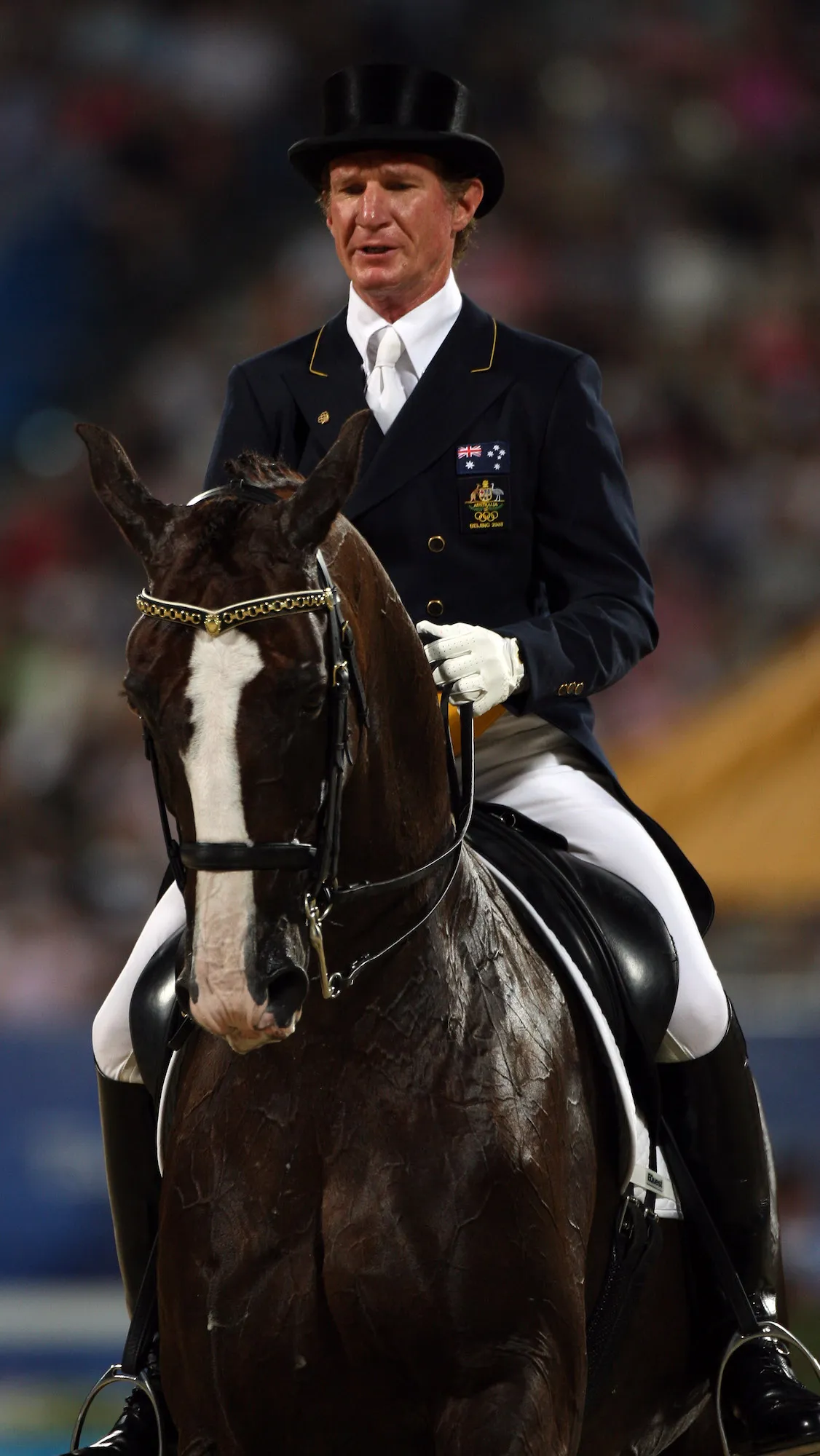 Olymic Equestrian Suspended After Whipping Horse 42 Times