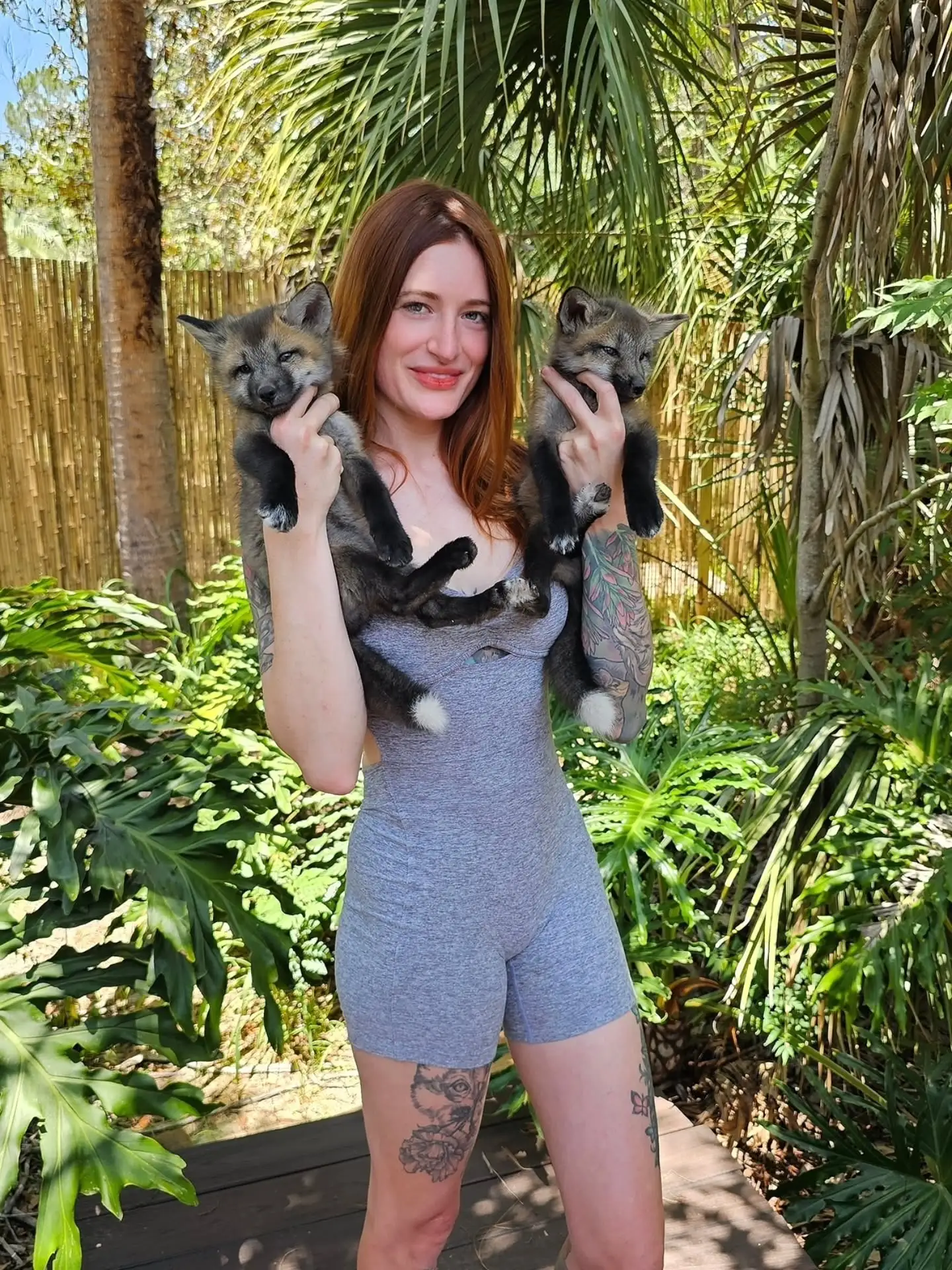 Police Confirm SaveAFox YouTuber s Death