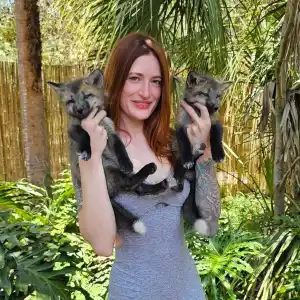 Police Confirm SaveAFox YouTuber s Death