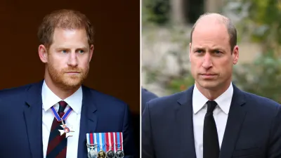 Prince Harry and Prince William Might Only Reunite for King Charles Funeral Royal Expert Speculates