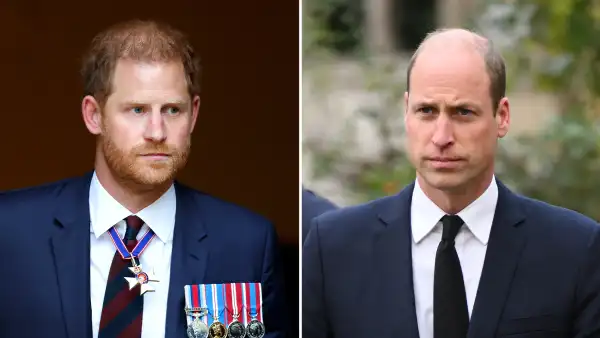 Prince Harry and Prince William Might Only Reunite for King Charles Funeral Royal Expert Speculates