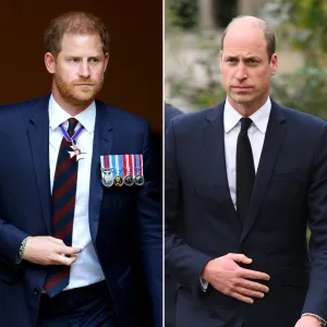 Prince Harry and Prince William Might Only Reunite for King Charles Funeral Royal Expert Speculates