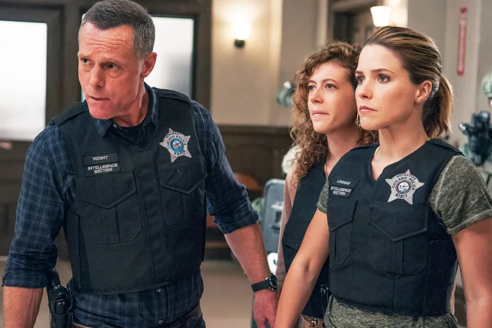 Sophia Bush Recalls Unending Trauma on Chicago PD Set Inline