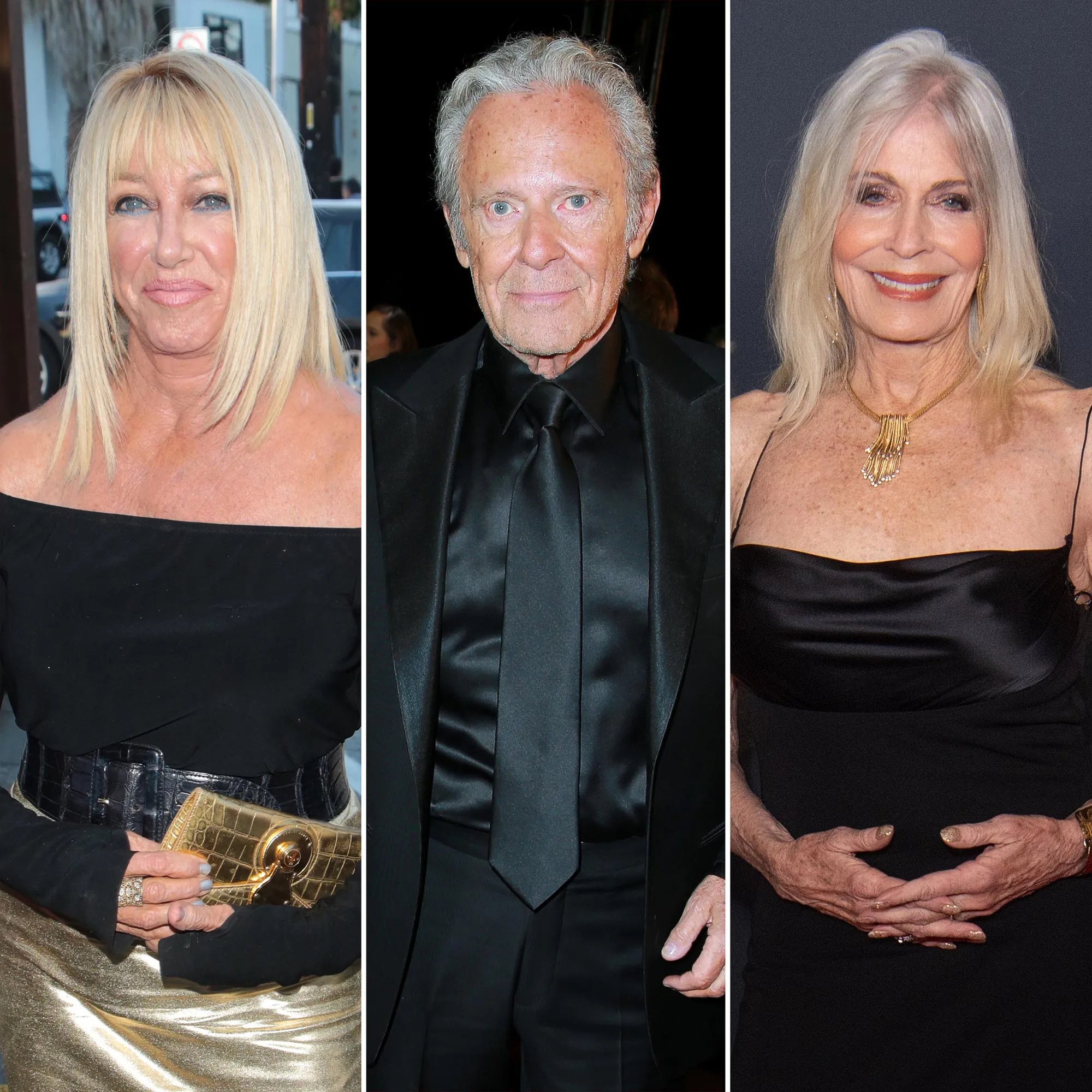 Suzanne Somers Widower Alan Hamel Is Dating Late Wife s Hollywood Wives Costar Joanna Cassidy 1233800992 1076943272 2193792244