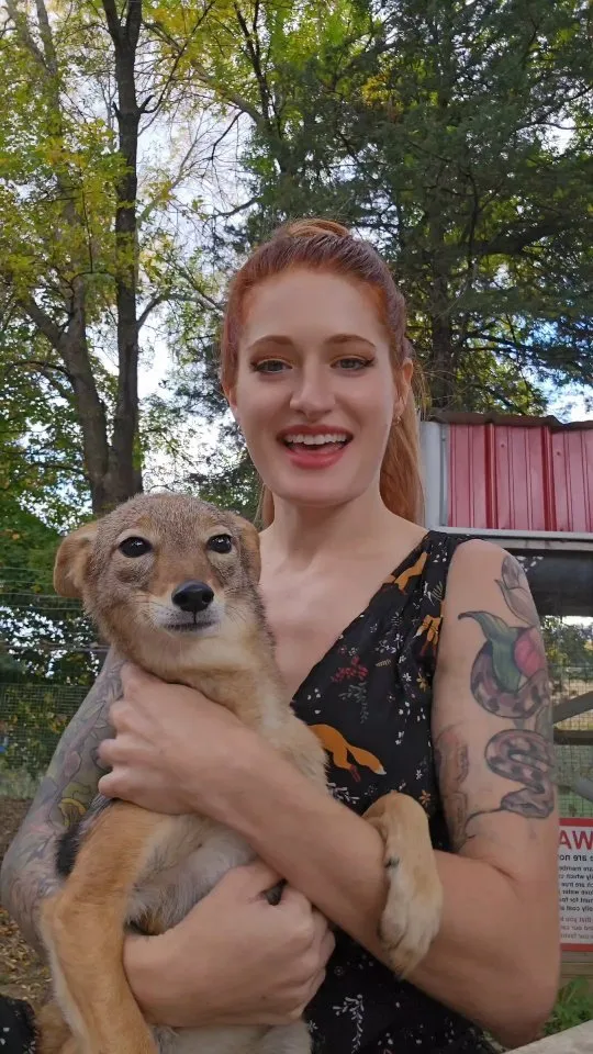 YouTuber Mikayla Raines Dies by Suicide After Online Bullying: Husband