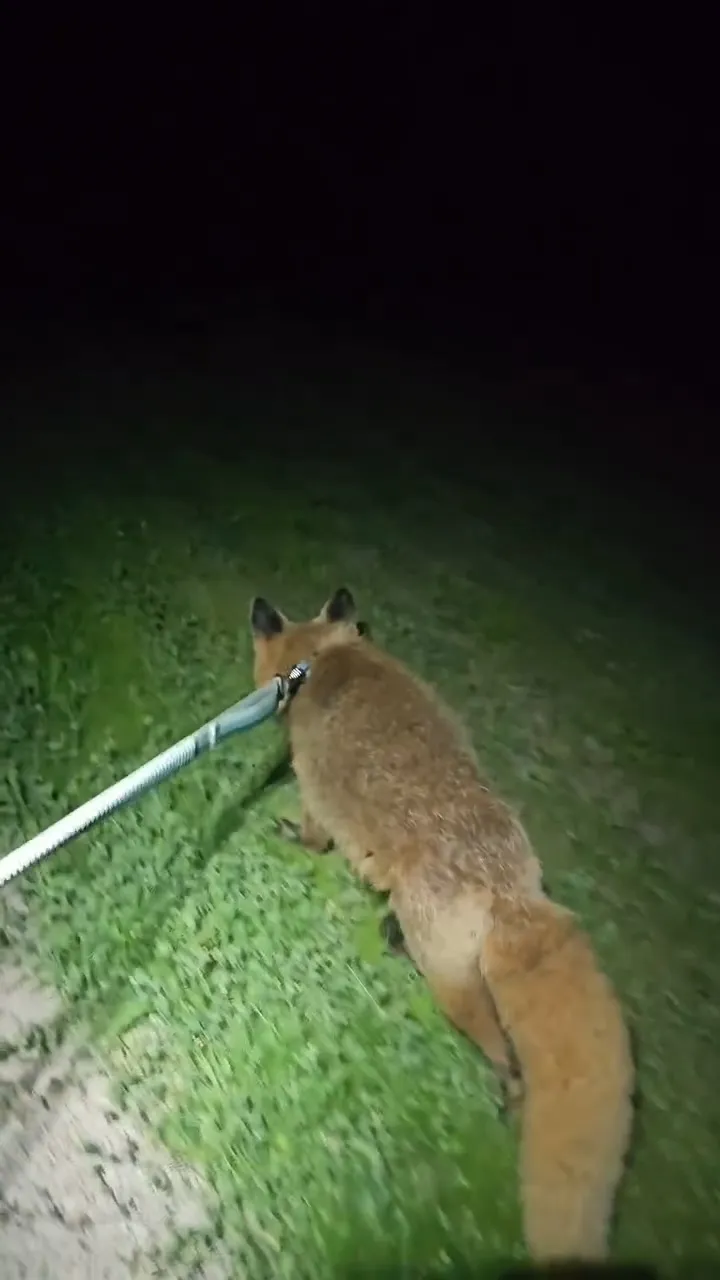 YouTuber Mikayla Raines' Husband Shares Sweet Way He's Honoring Her Memory