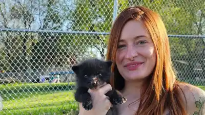 YouTuber Mikayla Raines Shared Video With Husband Ethan Frankamp 1 Day Before Death