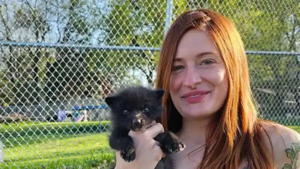 YouTuber Mikayla Raines Shared Video With Husband Ethan Frankamp 1 Day Before Death