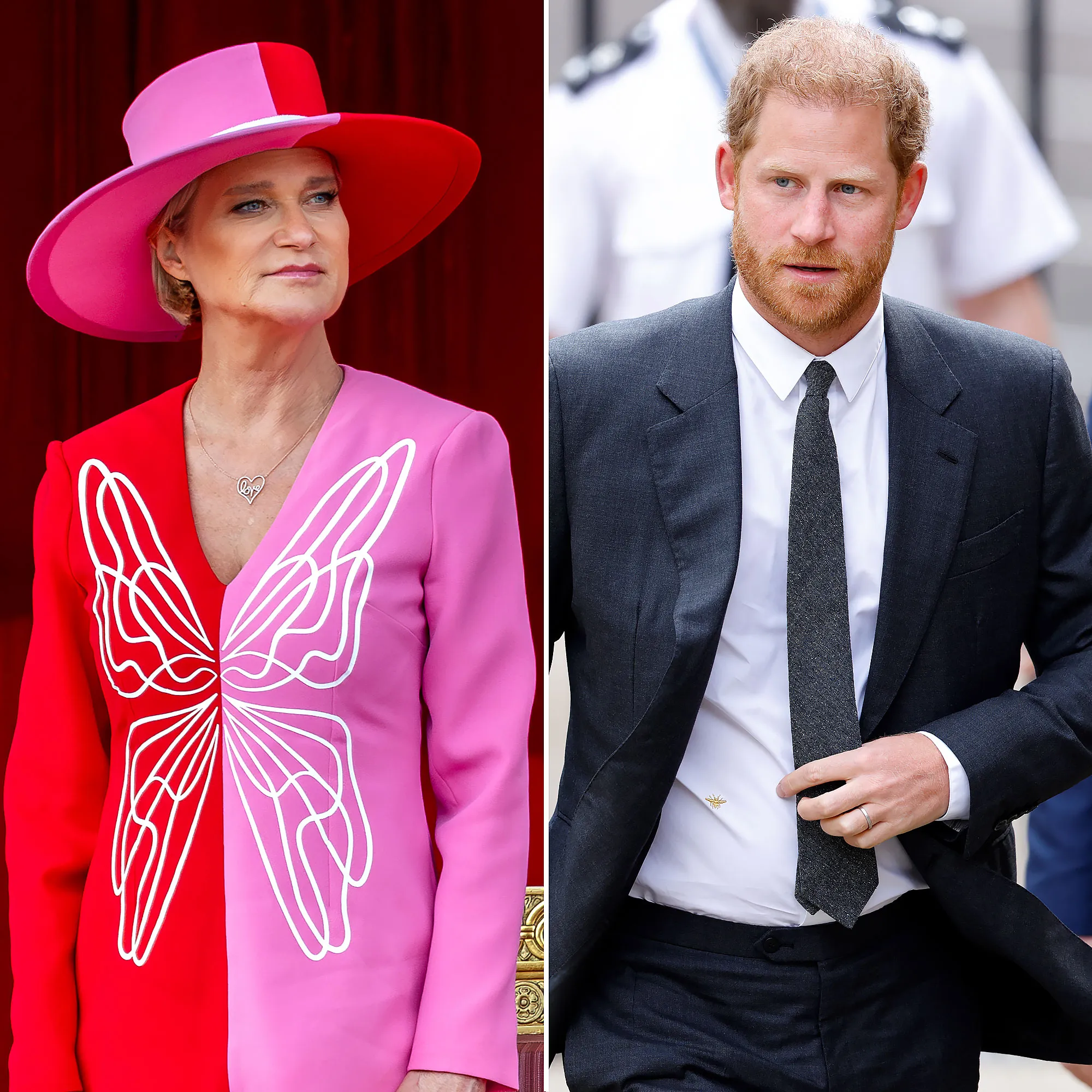Belgium Princess Delphine Says Prince Harry Has Suffered Amid Royal Family Feud