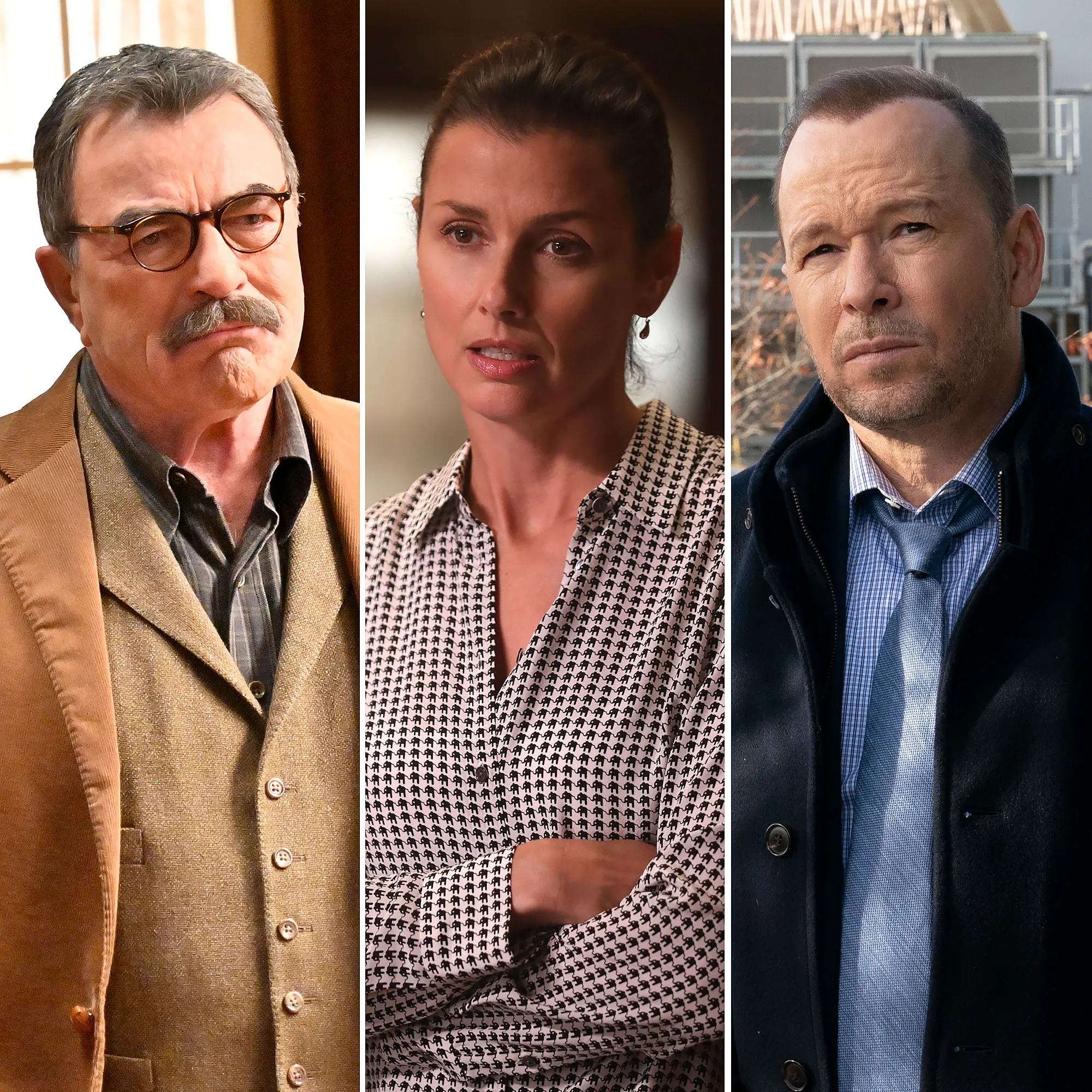 Blue Bloods Family Guide Tom Selleck Bridget Moynahan Donnie Wahlberg