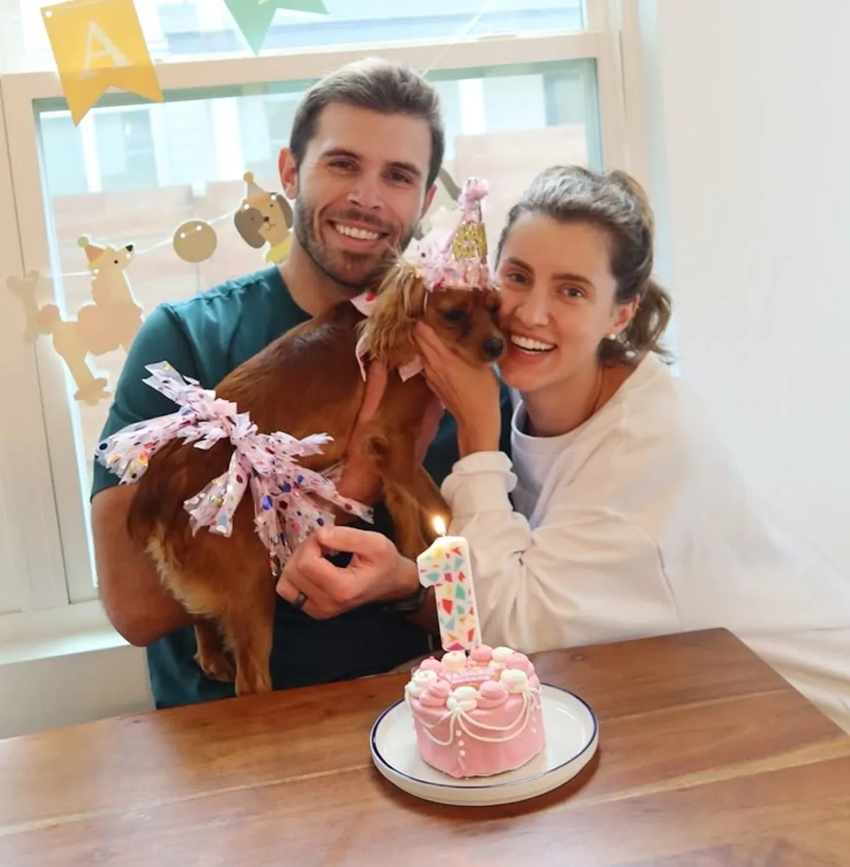 How The Bachelors Zach and Kaity Only Spent 1240 on Their Wedding