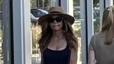 Denise Richards Spotted for 1st Time Since Estranged Husband Aaron Phypers Cheating Claims