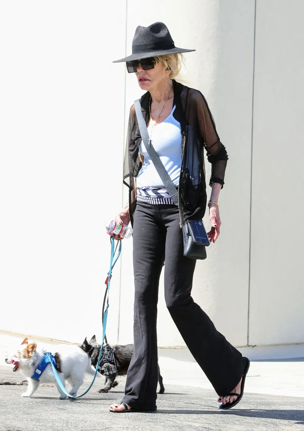 Dyan Cannon 88 Steps Out 2