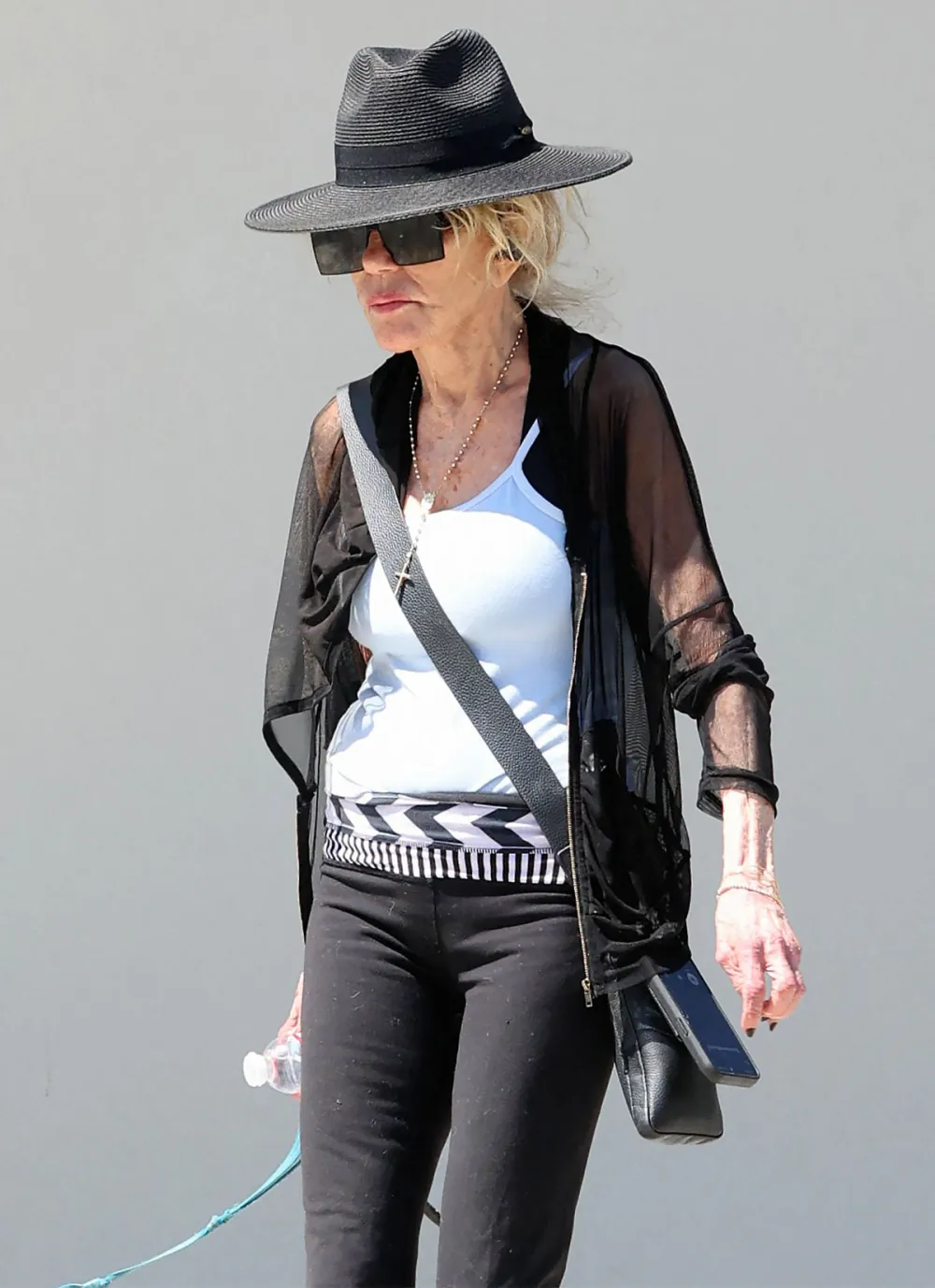 Dyan Cannon 88 Steps Out