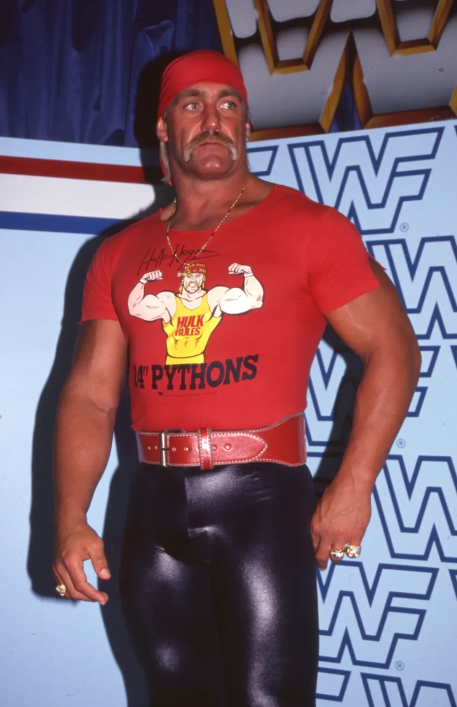 Hulk Hogan Through the Years From Wrestling to His Film Career