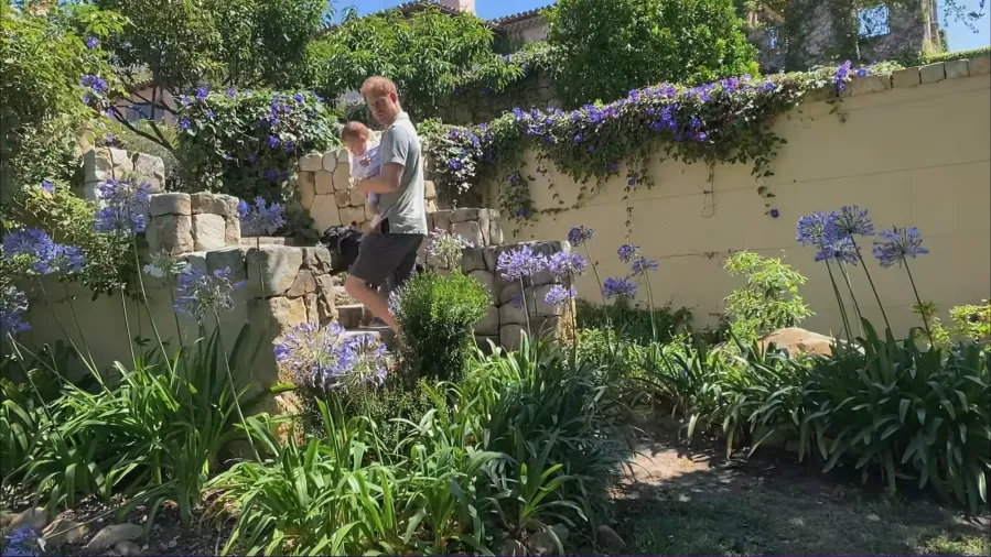 Netflix-Prince-Harry-Stone-Steps