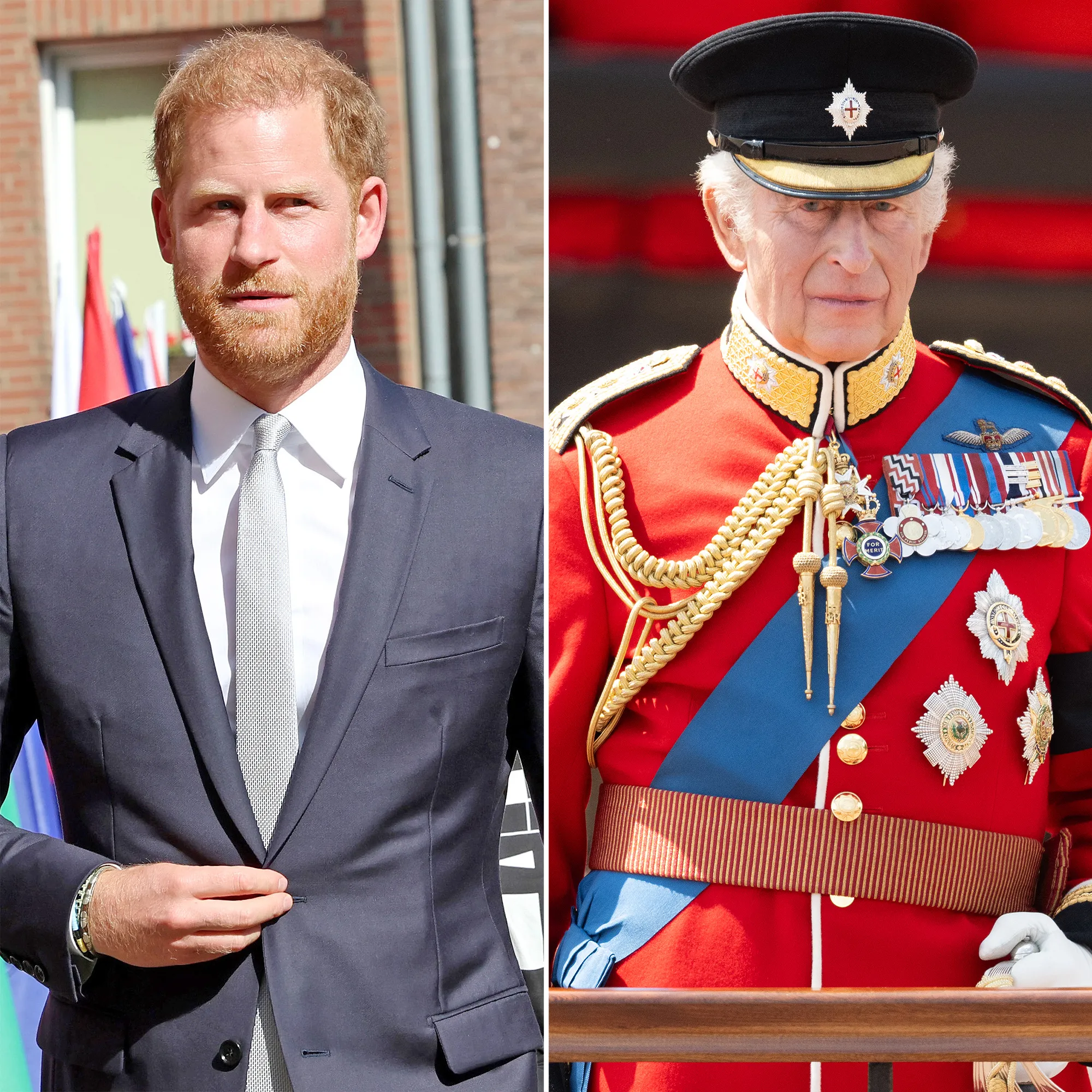 Royals Meetup Prince Harry and King Charles