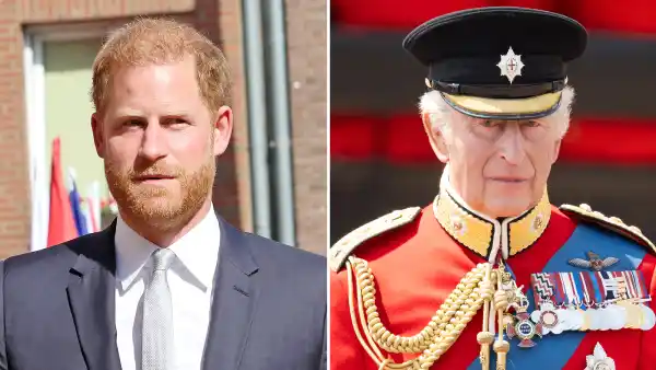 Royals Meetup Prince Harry and King Charles