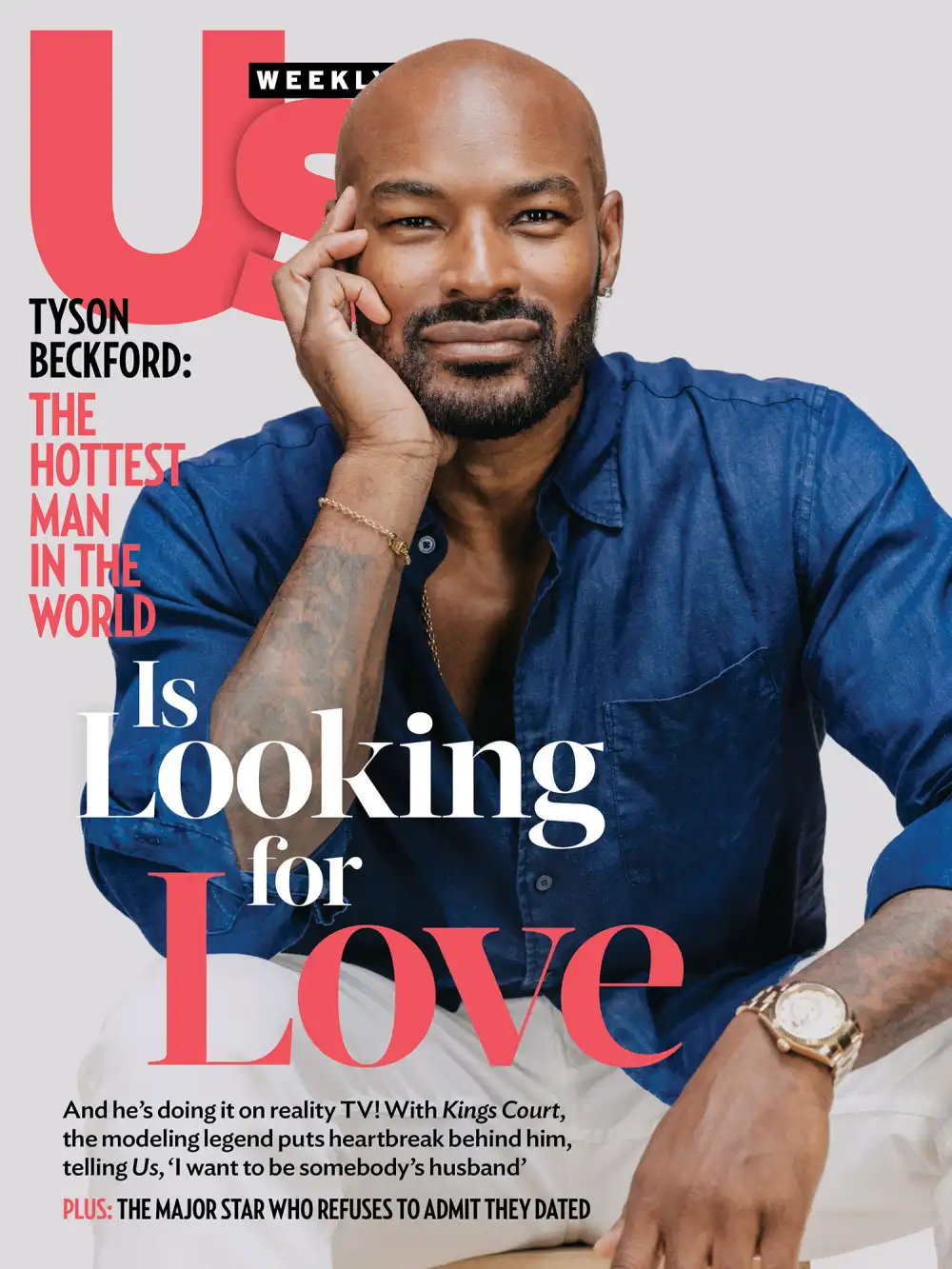 Tyson Beckford 2532 Luxury Handbag Shopping Cover No Chip