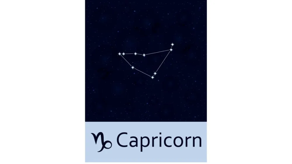 Capricorn venus sign meaning