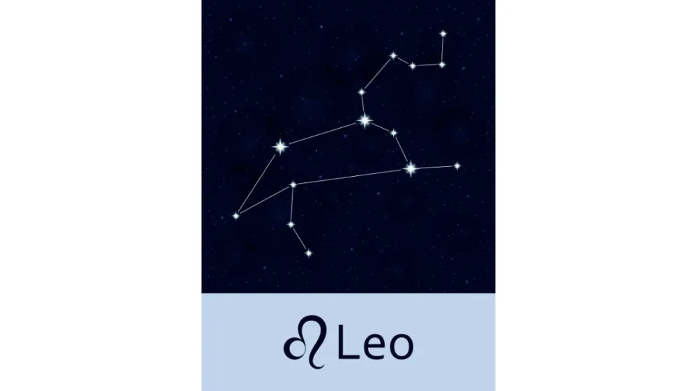 Leo venus sign meaning