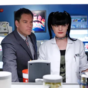 Pauley Perrette's Life Outside of Hollywood