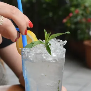 Mojito Cocktail