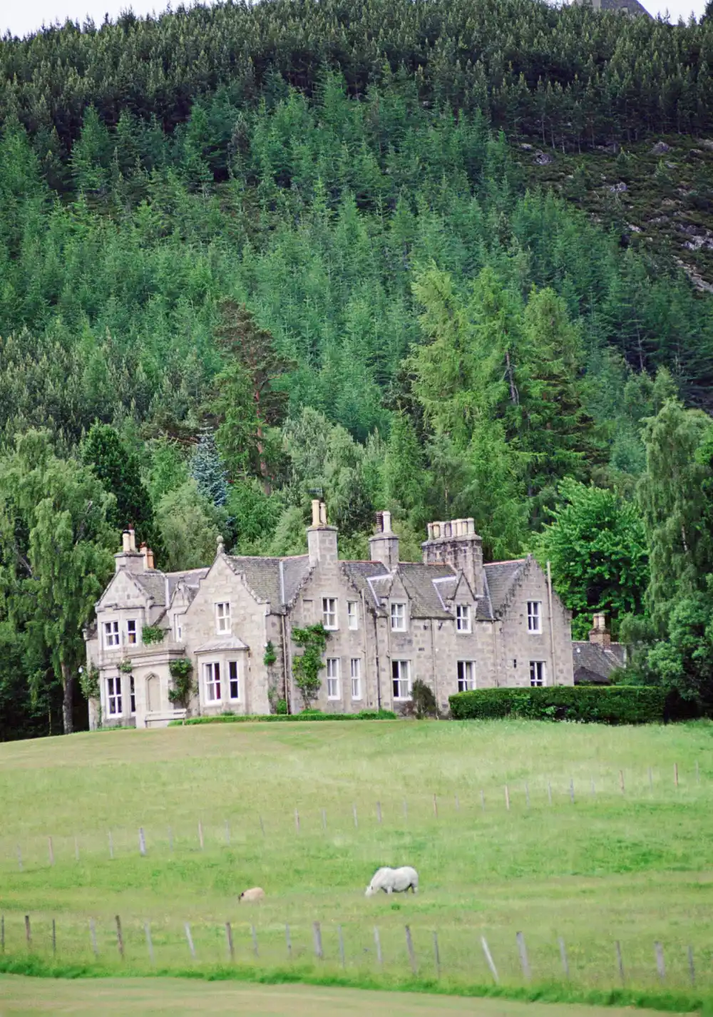 Breaking Down the Royal Family Properties Who Lives Where Royal Lodge Prince Andrew 52118839