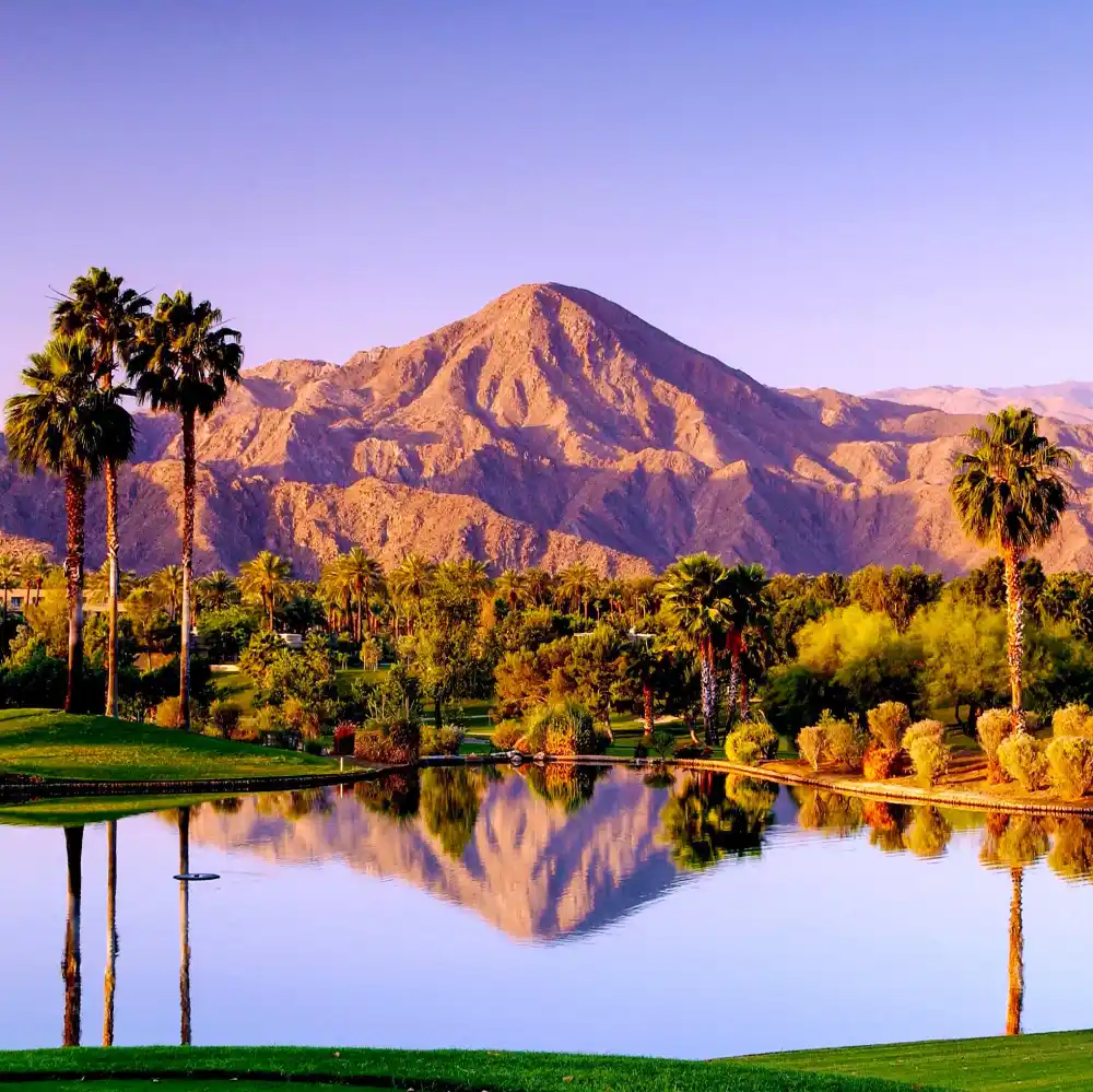 Drew s Backyard Bucket List 2 -PALM-SPRINGS-LES-CACTUS-GENERIC-PALM-SPRINGS-GettyImages-2169065067