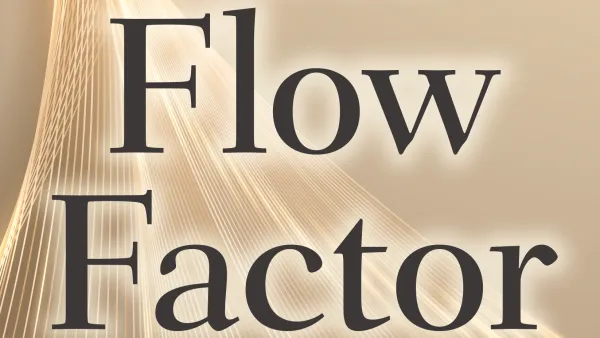 The Flow Factor by Christy Whitman