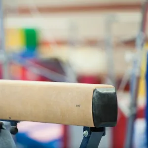 Gymnastics Coach at Acclaimed Facility Arrested on Child Pornography Charge Accused of Sexual Abuse