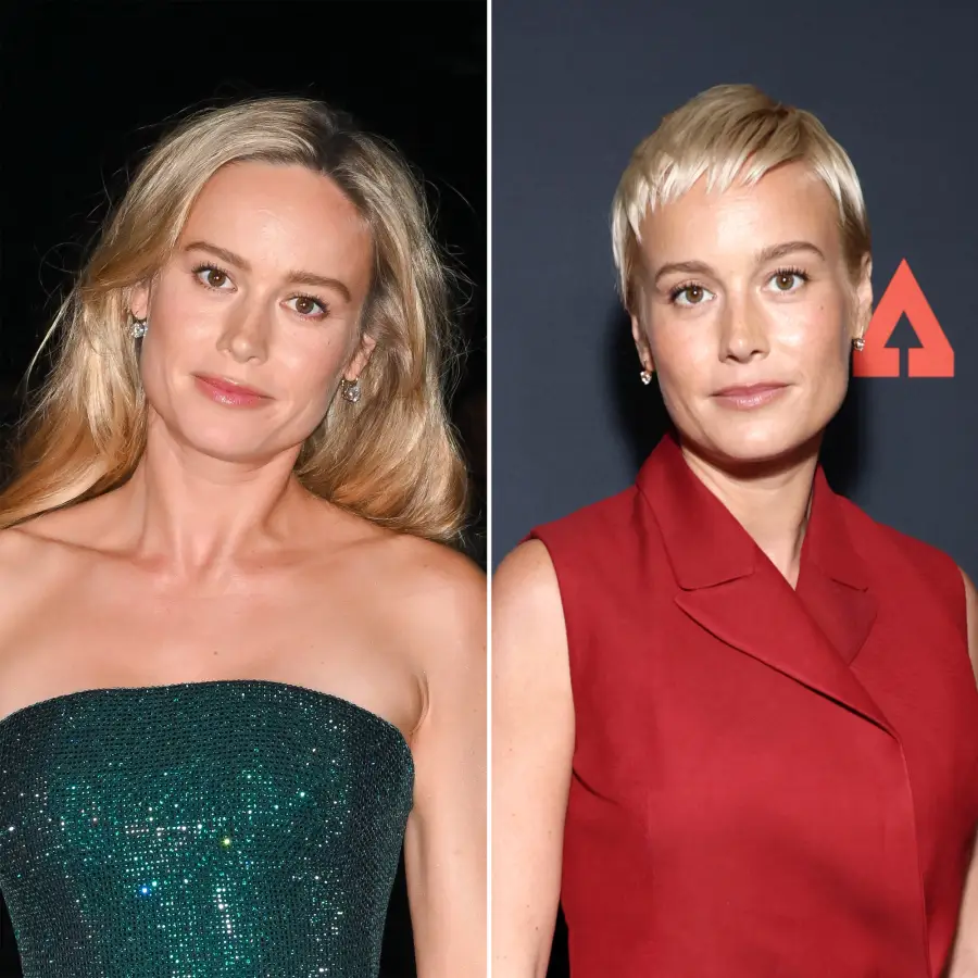 Hair Changes Denise Richards Brie Larson