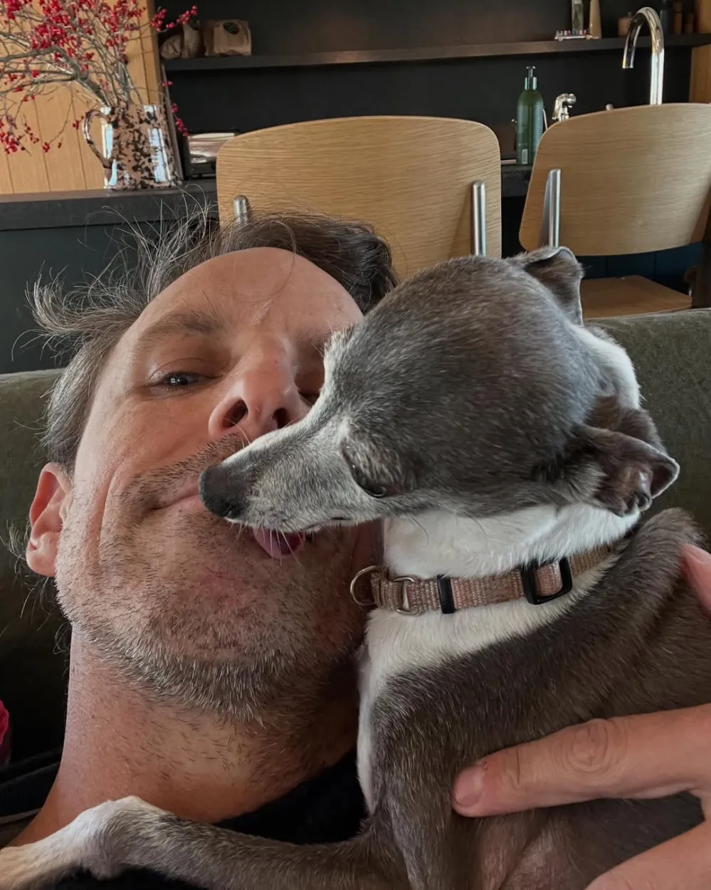 How Andy Samberg Reacted to Seth Meyers Dogs Death 2