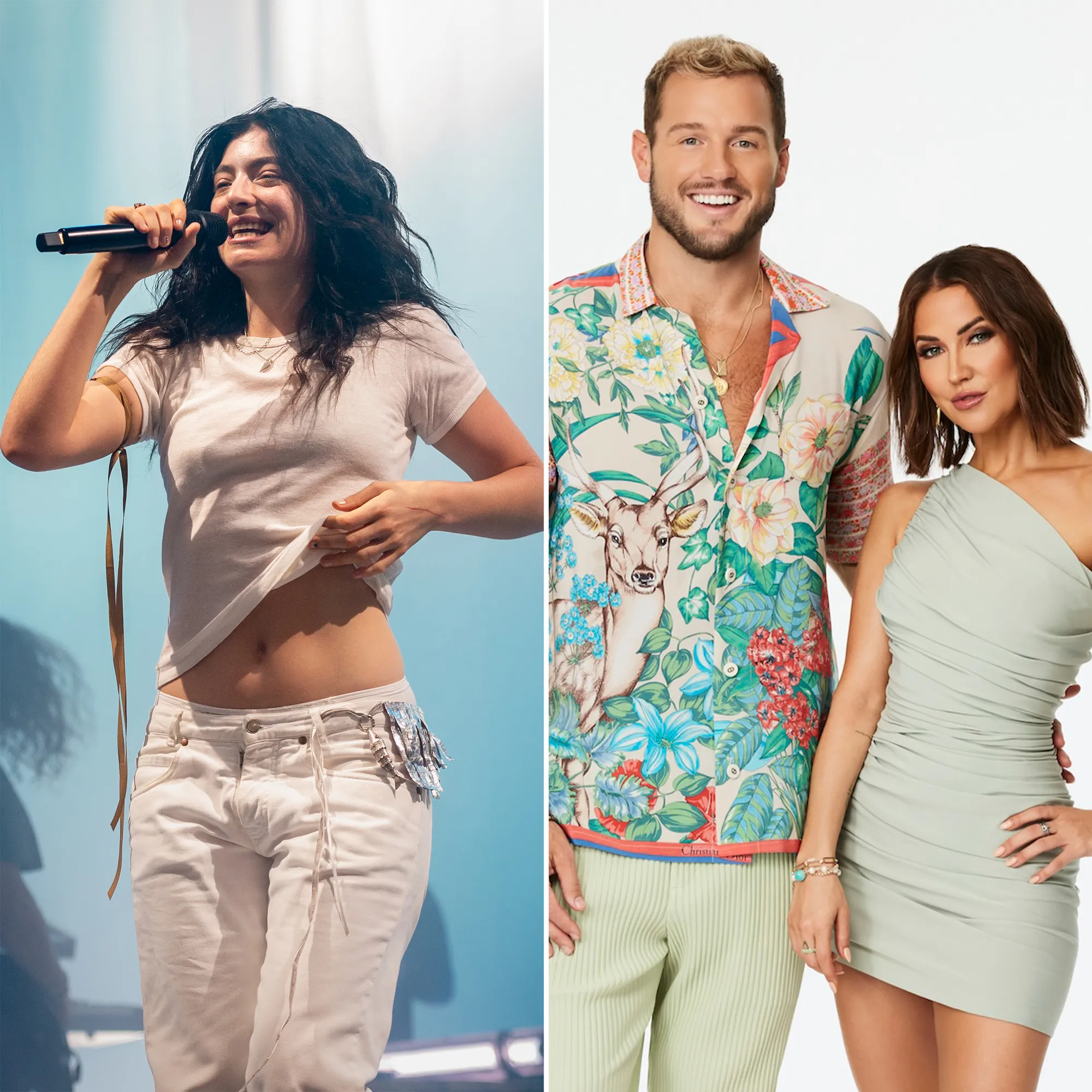 How Did We Go From Hot Girl Summer to Virgin Summer Lorde s Album Virgin Reality Shows and More