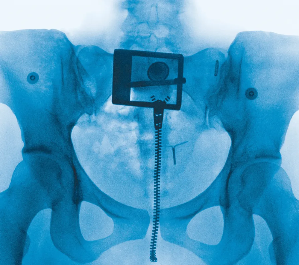 How Did We Go From Hot Girl Summer to Virgin Summer Lorde s Album Virgin Reality Shows and More