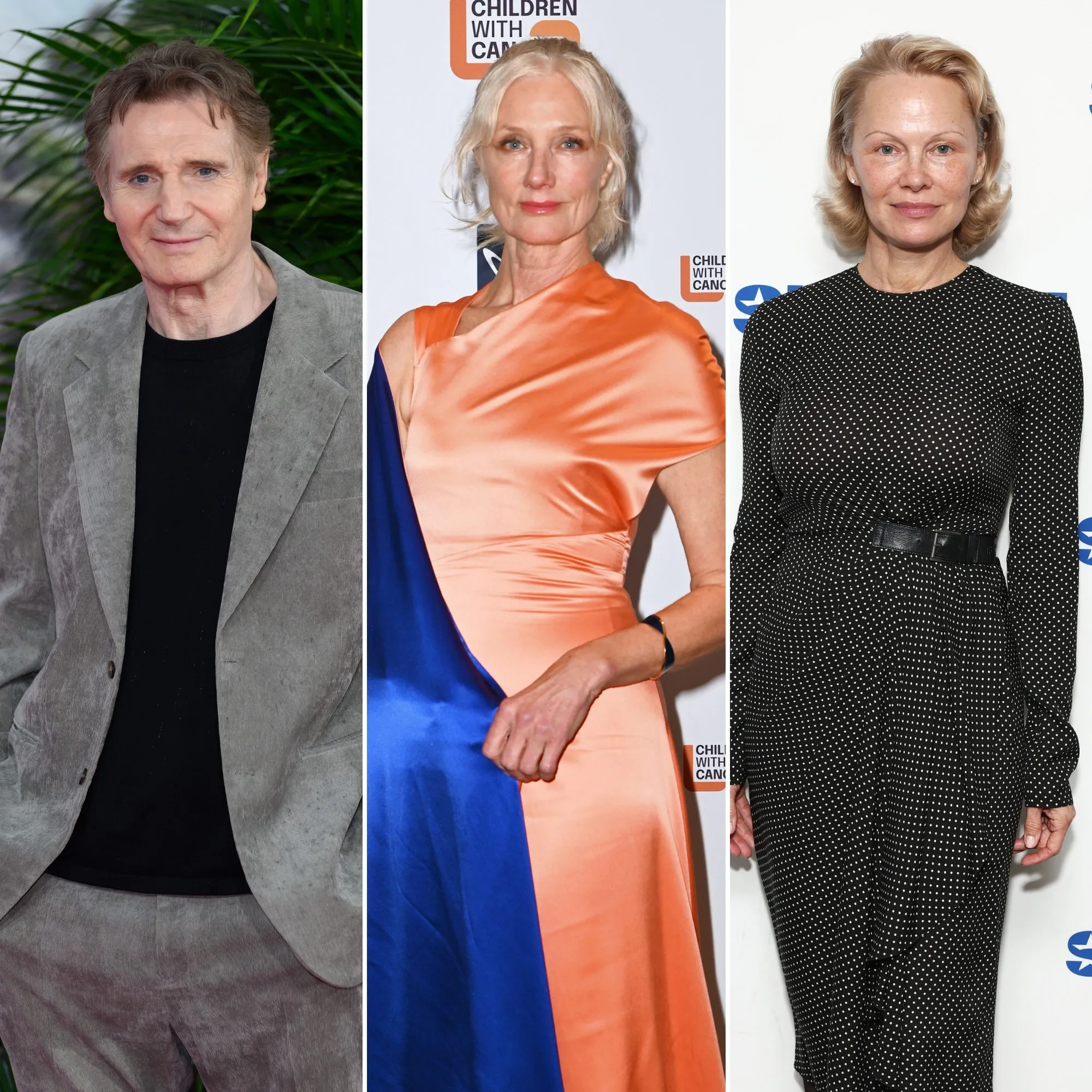 Liam Neeson Sister in Law Joely Richardson Supports Pamela Anderson Relationship - 1