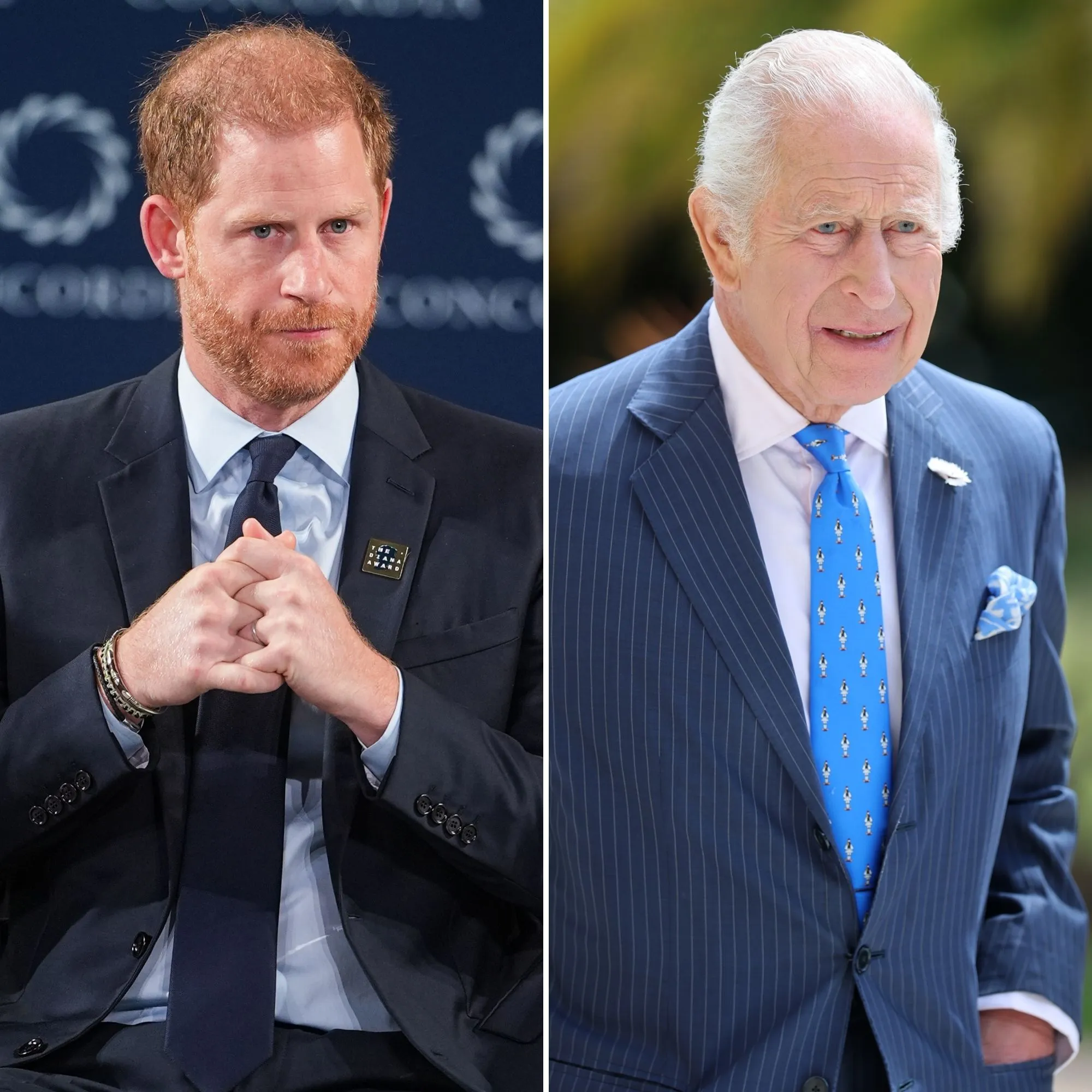 Prince Harry and King Charles Meeting