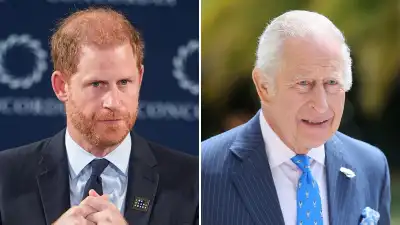 Prince Harry and King Charles Meeting