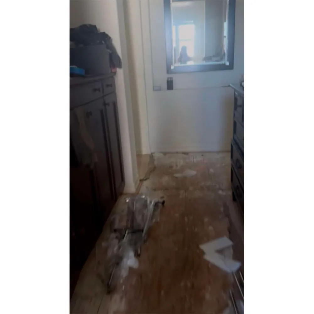 See The Photos Denise Richards Submitted as Evidence in Divorce Battle With Ex Aaron Phypers