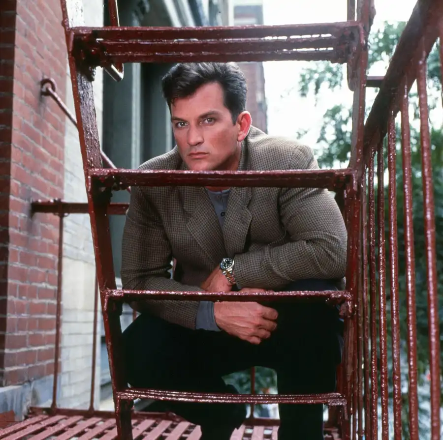 Soap Stars Who Left the Spotlight Rena Sofer Susan Lucci and More Tom Eplin Another World