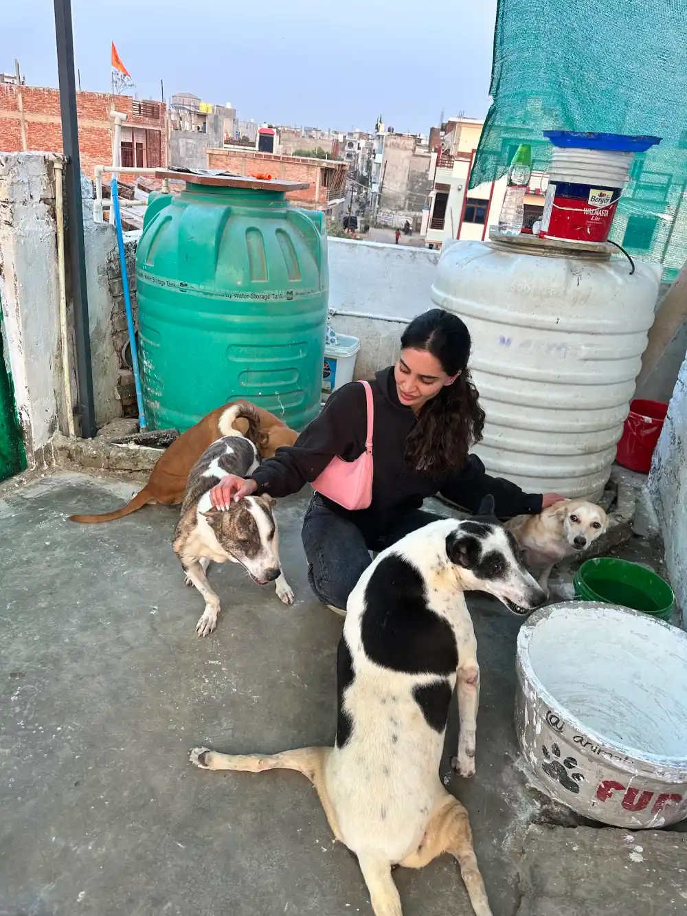 Who Is Priya Jain 6 Things to Know About the Designer Recently Spotted With Joshua Jackson dog lover 2