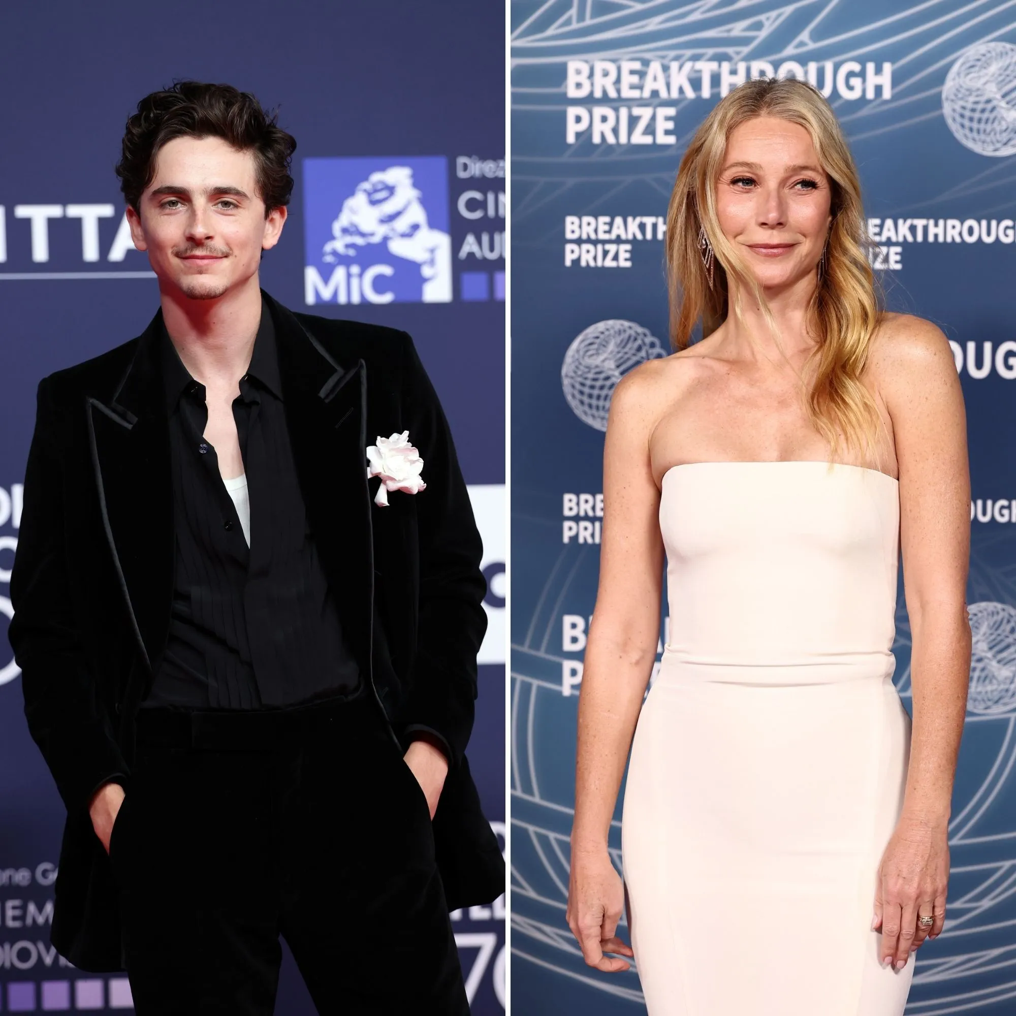 Who Is in the Marty Supreme Cast