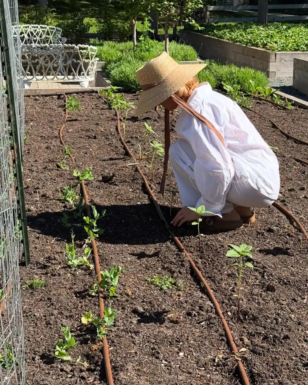 Pamela Anderson's Garden at Her Canada Replica Luxury Handbag Photos of Her Oasis