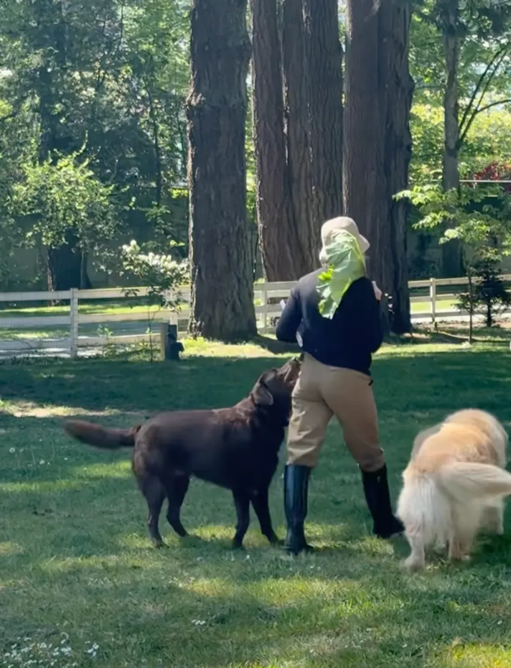 Pamela Anderson's Garden at Her Canada Replica Luxury Handbag Photos of Her Oasis