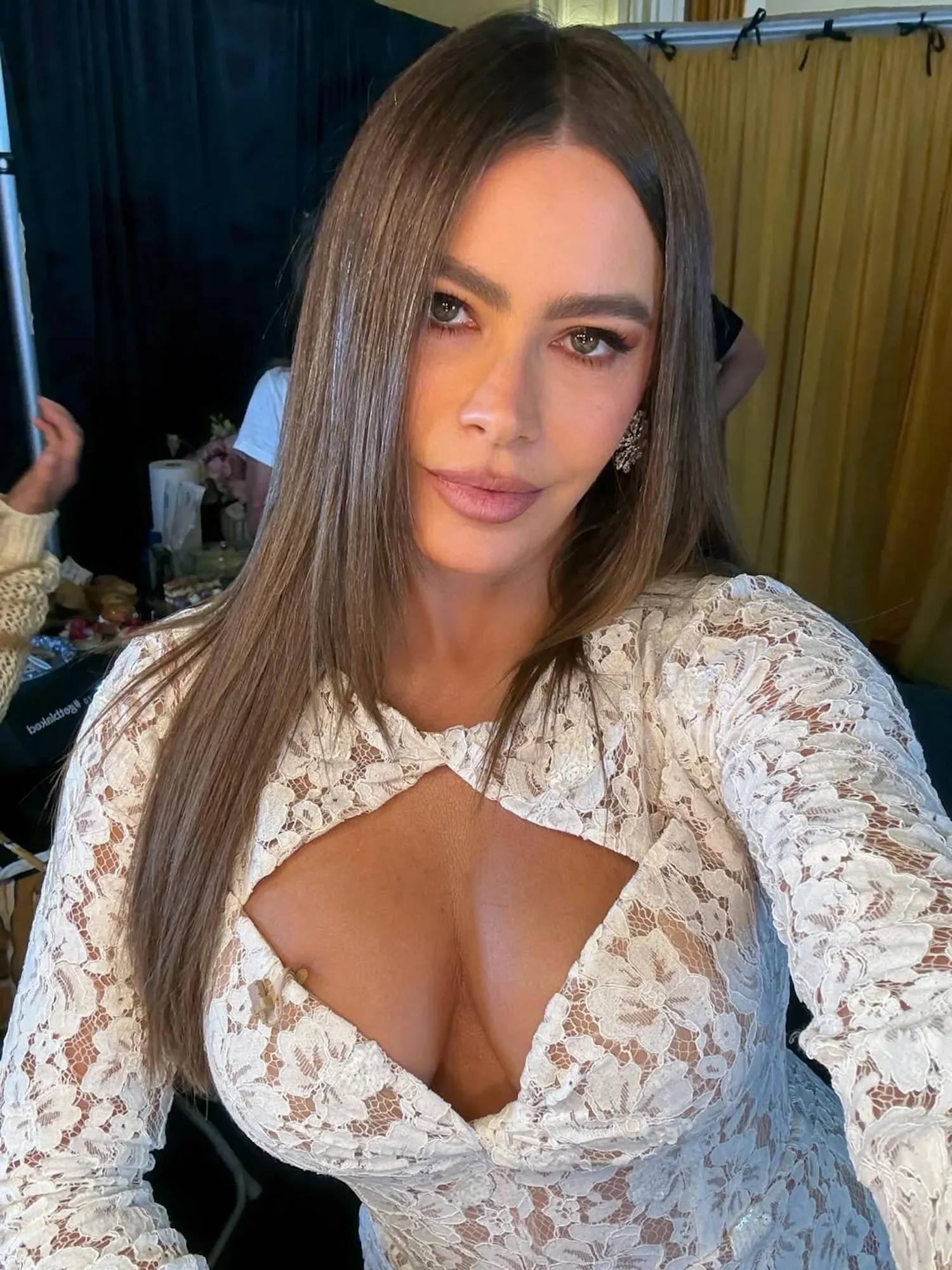 Sofia Vergara's Cleavage-Baring Dress Sparks Nip Slip Rumors and Fan Reactions: 'We All Zoomed!'