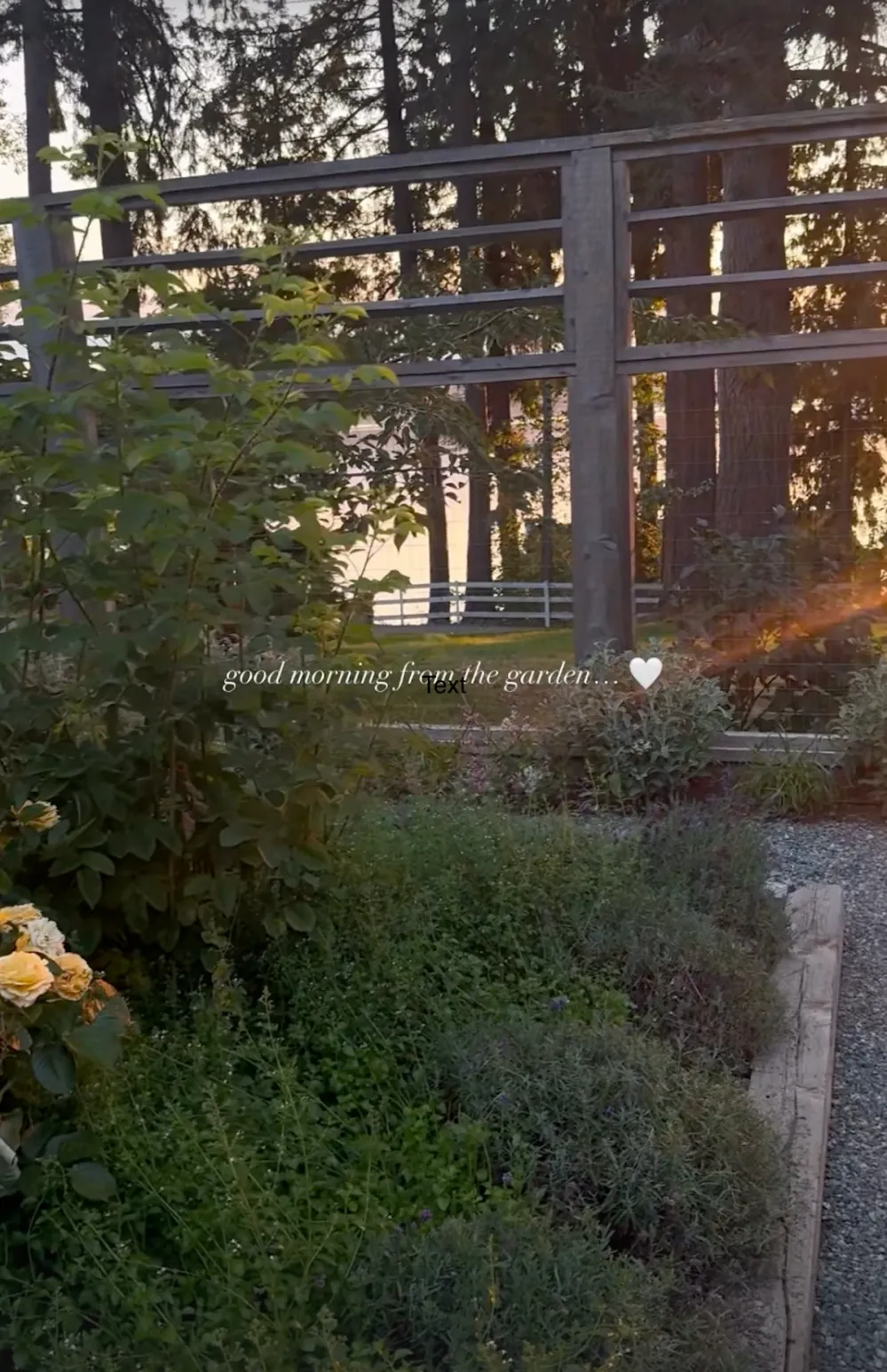 Pamela Anderson's Garden at Her Canada Replica Luxury Handbag Photos of Her Oasis