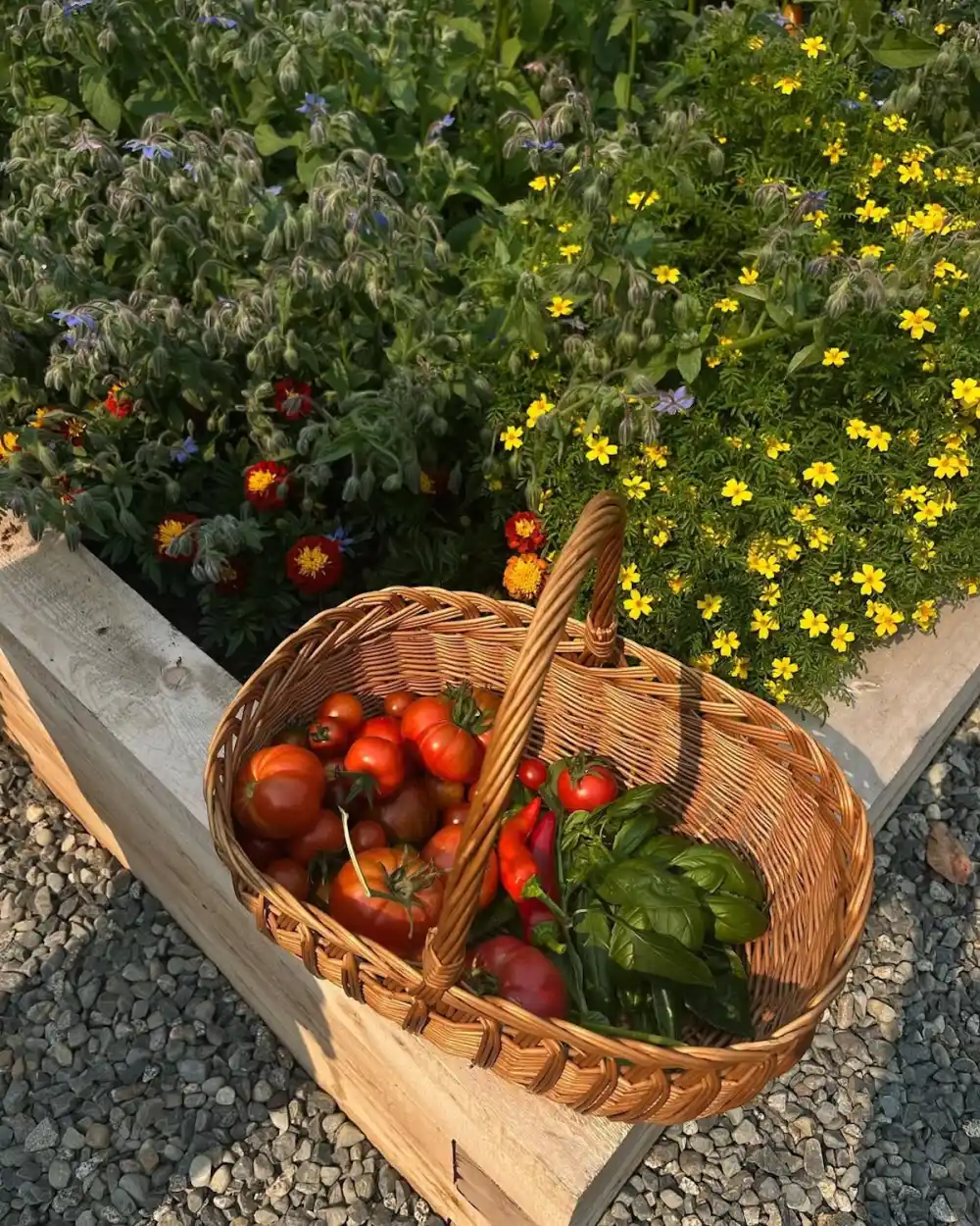 Pamela Anderson's Garden at Her Canada Replica Luxury Handbag Photos of Her Oasis