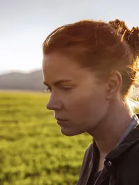 Amy Adams in 'Arrival'