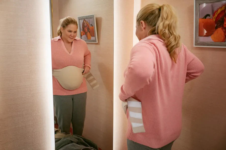 Amy-Schumer-Kinda-Pregnant-MCDKIPR_ZX002