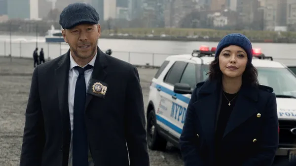 Blue Bloods Danny Reagan and Maria Baez Relationship Timeline